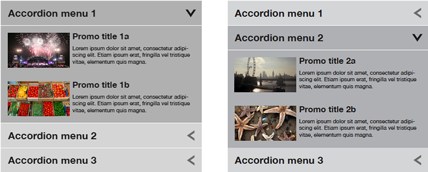 Mock up of two accordian menus