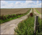 Byway south of West Kennett