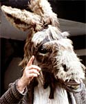 Nick Bottom, a character from 'Midsummer Night's Dream' is turned into a donkey