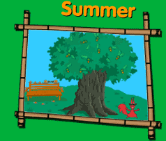 Summer deciduous tree