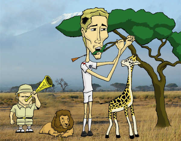 Safari