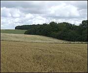 The 'dip' that could be Jack's cave