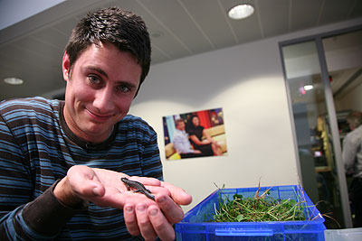 Jools Howard from Froglife brought a newt into the studio