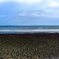 On Newcastle beach where the ceremony took place