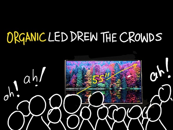 Organic LED was a hit at IFA 2012