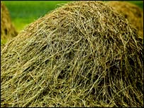 ذخيره ی علوفه 