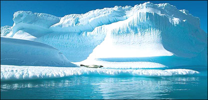 يخ های شناور