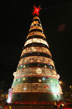 Xmas tree at Ibirapuera Park