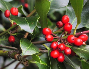 WTPL/Peter Paice from Belfast