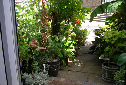 总是停在门口的车不见了