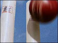 क्रिकेट