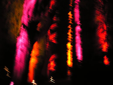 Another night in the woods