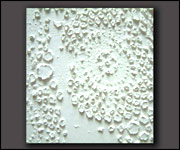 Pattern with Shadow by Sharon Read.