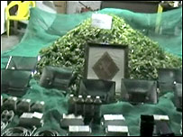 Maconha e equipamentos apreendidos pela polícia espanhola