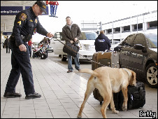 احد الكلاب البوليسية يفحص أمتعة المسافرين