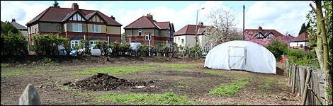 Mexborough Allotments, May 2008