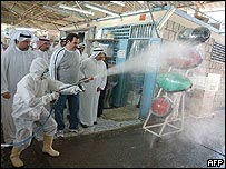 Mercado de aves no Kuait