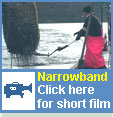 narrowband film