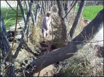 ويالې او ماينونه