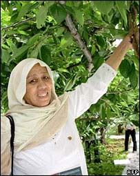 صفيه عمه جان