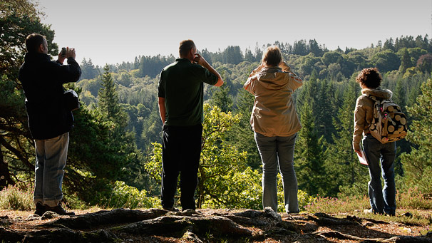 A row of people looking at a forest from a high vantage point.