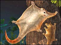 Reconstrução de mamífero voador