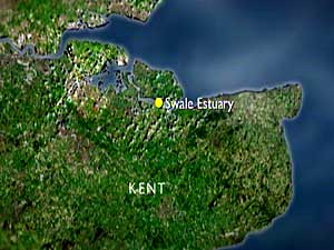 Swale Estuary map