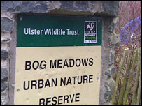 Bog Meadows