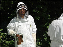 New beekeeper Anthony