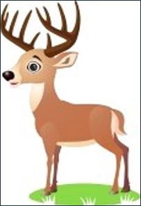 فيل او هوسۍ