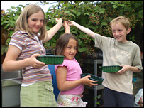 Picking blackberries at the allotment