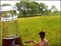 کوک اور پیپسی کا کیڑے مار دوا کے طور پر استعمال