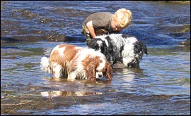 Take a look at photographs from around the county