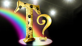 Golden letter T with paw prints and question mark with gold sparkly bone, all in a theatre spotlight