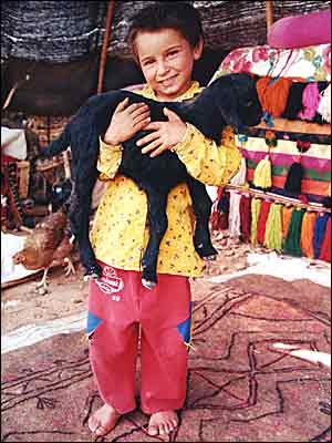 عکس از کوروش جاويدی