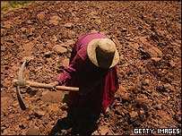 Trabalhador rural na Bolívia