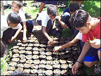 Children in the School Garden Project