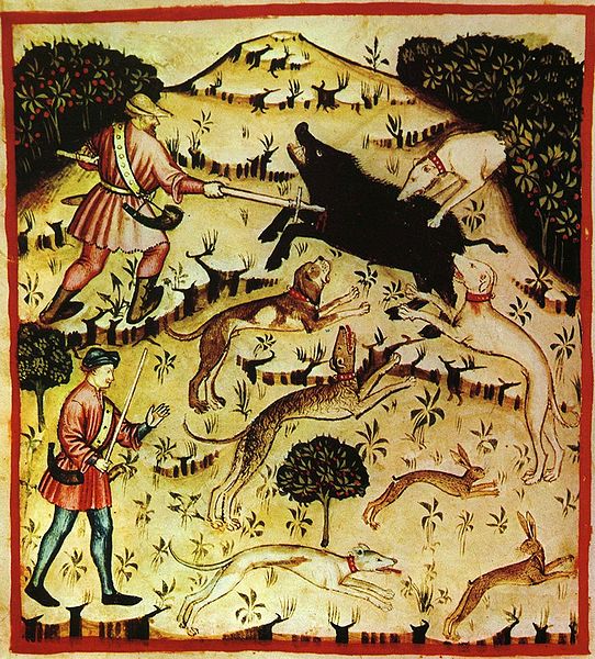 Depiction of boar hunting in the 14th Century