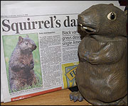 Dancing, singing rat