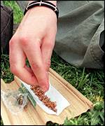 Marihuana je nerozšířenější drogou v České republice i dalších evropských zemích