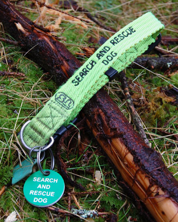 Collar and tag, labelled