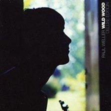 Review of Wild Wood: Deluxe Version 