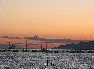 عکس از محمد علی فاخری