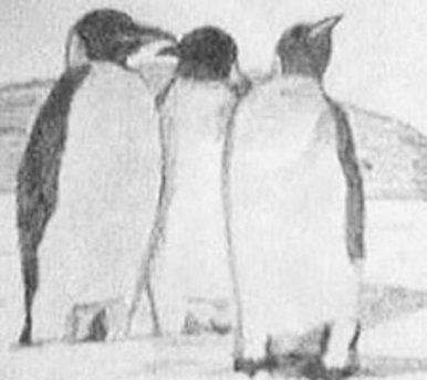 Penguins