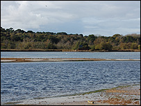 Chris finds Brownsea's lagoon a calming place to spend time