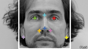 Foto: Liu e demais autores/PLoS