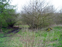 Lochore Meadows Country Park