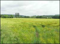 Mortimers Cross battlefield
