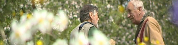 Worcestershire Recorders in action