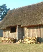Hut with logs